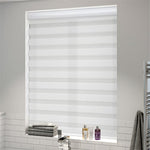 Enjoy Luxe Seashell Zebra Roller Blind